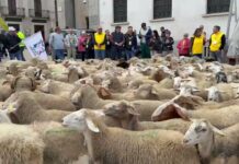A L’Aquila aperto il Villaggio di Coldiretti