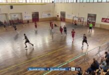 Lions vince a Siracusa e prepara il big match col Romagna